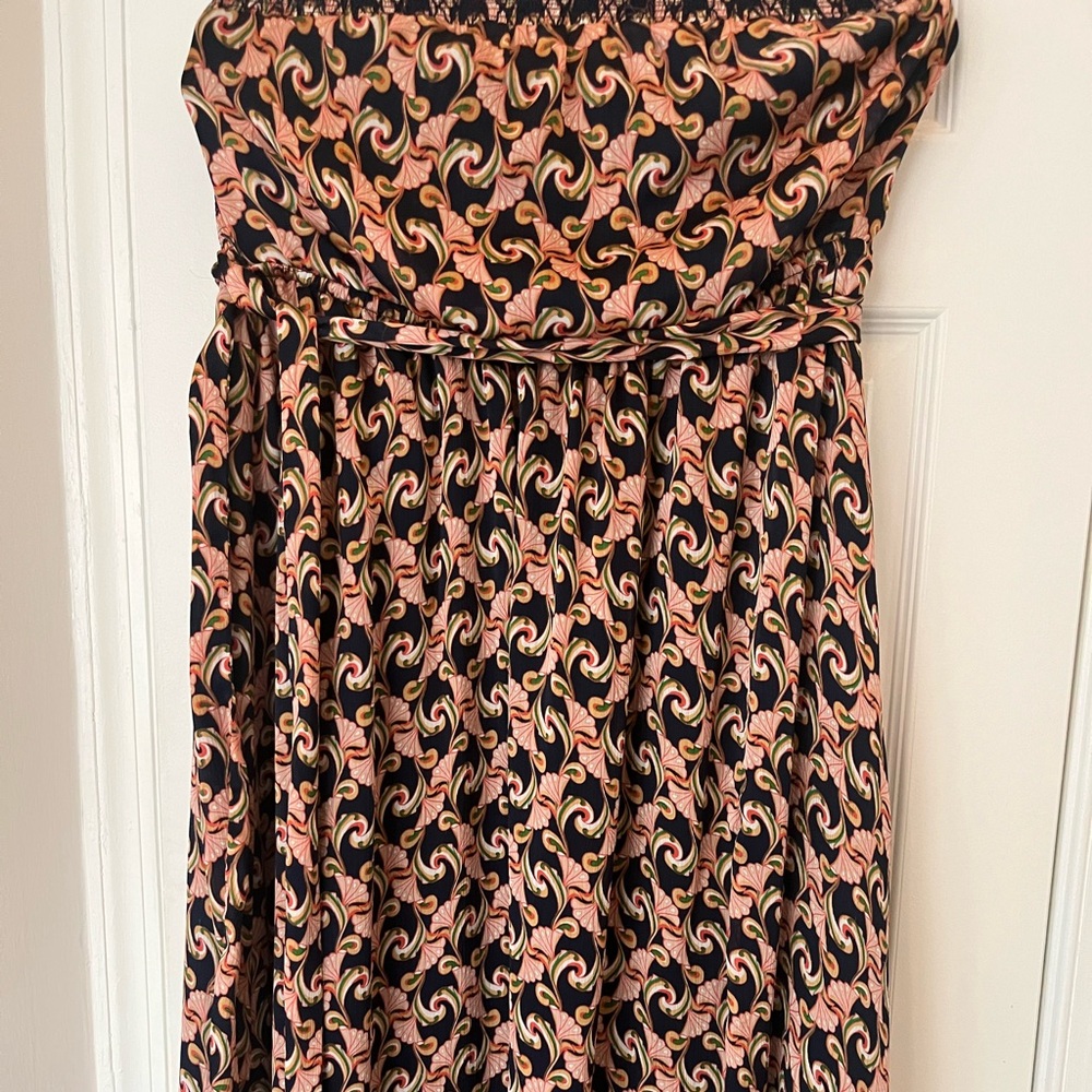 The Webster at Target Black and Pink Maxi Dress